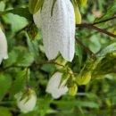 버스정류장 옆 이미지