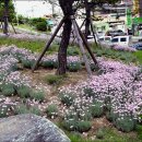 동남공원 이미지