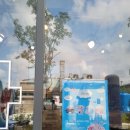 카페9977 이미지