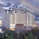 (주)파인리조트 이미지