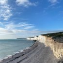 세븐피시 이미지