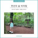 천년의 숲 화장실 | 제주 서귀포 아이와 갈만한 곳, [천년의 숲 비자림] 자연 속에서 추억을 외치다!