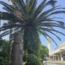 동광리-7 이미지