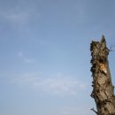 남중동-18 이미지