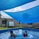 스며들397펜션 이미지