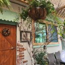 자라섬게스트 하우스 | 가평 숙소 추천 자라섬 게스트하우스 솔직 후기