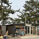 숙소 (내돈내산) | 서산 벌천포 해수욕장 1열 오션뷰 오토캠핑장, 글램핑 3호 후기 :: 서산 벌천포 캠핑장🌊