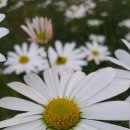 예일병원 이미지