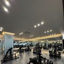 짐포레스트 이미지