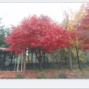 2012년 11월 14일(Wednesday) / 재능이란 성실의 다른 이름 이미지