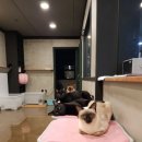 또바기PC 이미지