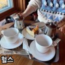 식만로 | 부산 강서구 카페 애견동반 뷰카페 크리스마스트리 헐스 후기