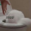 신박하개 이미지