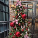 피자선생 본점 | 동숭동 '핏제리아오 대학로 본점' : 건강한 맛의 화덕피자, 파스타 후기 | 종로맛집, 대학로맛집, 솔직주의