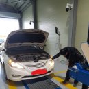 비전1급자동차서비스 이미지