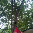 스마일 캠핑장 이미지