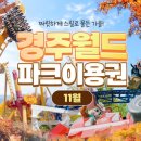 [경주] 아이와 가볼만한 곳 &#39;경주월드&#39; NEW 놀이기구 &#39;위자드레이스&#39; OPEN