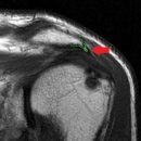 날개병원 이미지
