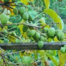 스테이 서종 이미지