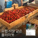 6월 플리마켓 농부시장 마르쉐 일정 장소