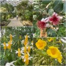 경상남도산림환경연구원 | 경남 수목원(경상남도 산림환경 연구원) 나들이