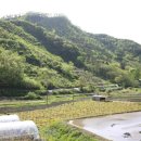 삼흥농원 이미지