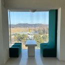 올데이브런치카페 | 서울 근교 드라이브 안성 대형 카페 추천 브런치 카페 올데이브런치카페 방문후기