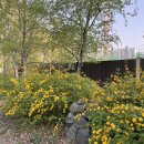 노태공원 화장실 이미지