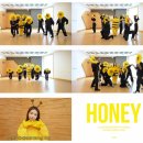솔라 이미지