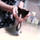 가좌종합동물병원 이미지