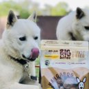 Big Dog(빅독) 이미지