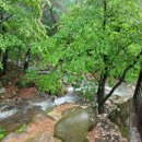 지리산물길따라펜션 이미지