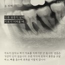 샘케이스
