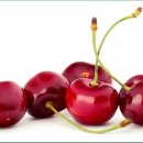 체리 이미지