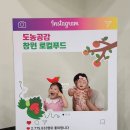 창원 로컬푸드 직매장 재방문 후기｜대원동 신선한 제철과일 장보기 추천