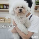 루앤오 네이버블로그