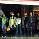 데이지 독 이미지