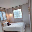 푸조와곰솔 이미지