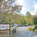 주천면-7(도천교 밑) | [캠핑장추천]영월 메타세콰이어길 명소&#34;보보스캇캠핑장&#34;