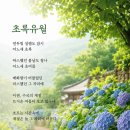 유월 - 의정부시 비우로 67 | 유월