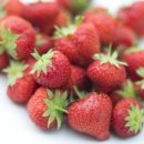 기운찬의원 이미지