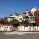 풍차랑 허브랑 이미지