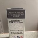 베스트더마 | 현대 프리미엄 아울렛 코아시스 쟈스 더마 앰플 사용 후기 미백 앰플 추천