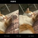 시샘달아뜰리에 네이버블로그