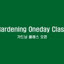 플랜디오