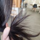 오테르헤어 미아점 | 미아사거리 미용실 | 티지헤어 오테르미아점 헤어클리닉 방문 후기