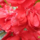 월항면복지회관 이미지