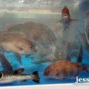 한림마트 이미지