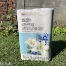 라벤더&바닐라 이미지