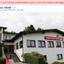 법인비덱